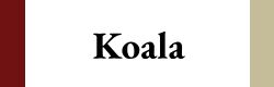 koala dream number, koala eating dream, dead koala dream, having a koala dream, koala as a pet dream, baby koala dream