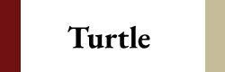 turtle dream number, sea turtle dream, dead turtle dream, turtle biting dream, turtle shell dream