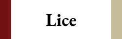 lice dream, lice on baby dream, getting rid of lice dream, lice on your hair dream, lice crawling dream, lice eggs dream, lice infestation dream, 