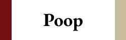 poop dream, human poop dream, dog poop dream, animal poop dream, poop on shoes dream, pooping dream, poop smell dream, 